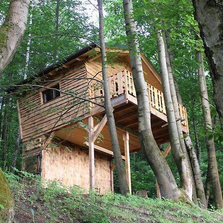 Treehouse Velké Losiny Exterior photo