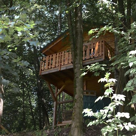 Treehouse Velké Losiny Exterior photo