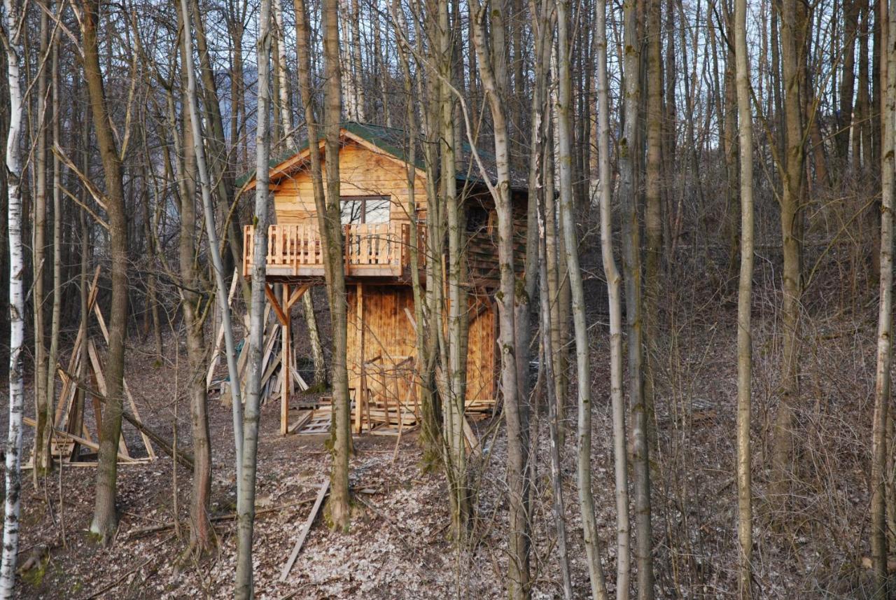 Treehouse Velké Losiny Exterior photo