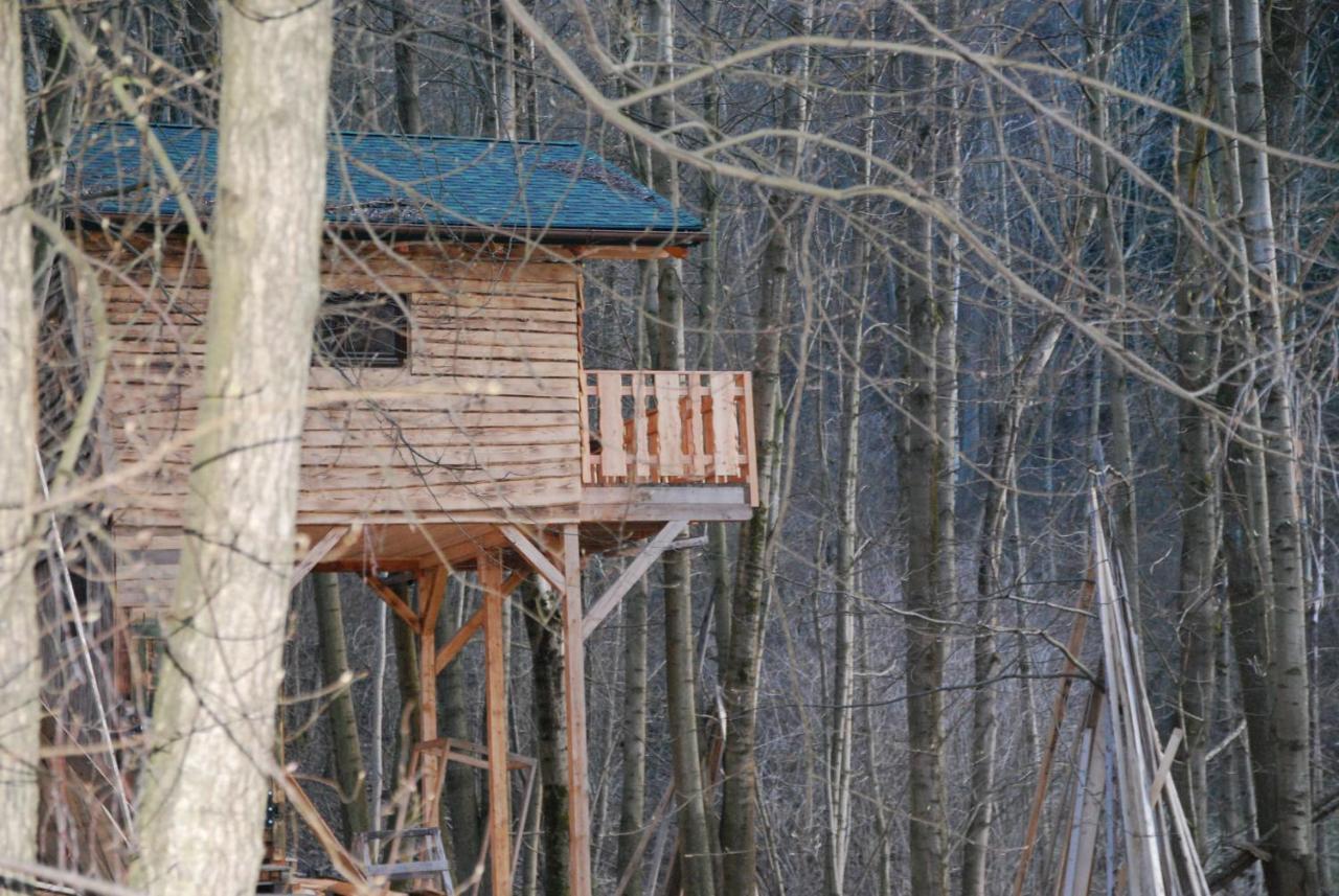 Treehouse Velké Losiny Exterior photo