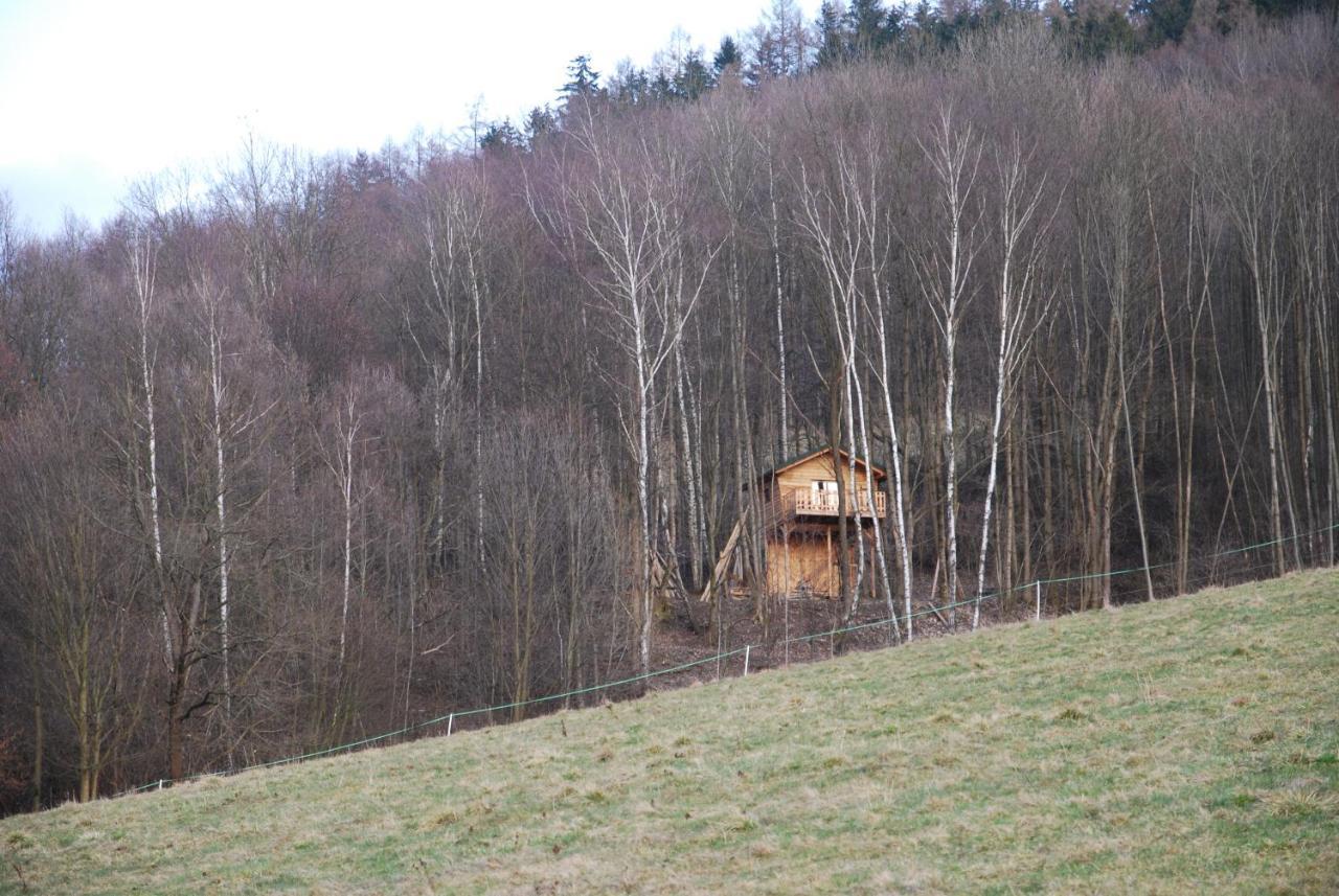 Treehouse Velké Losiny Exterior photo