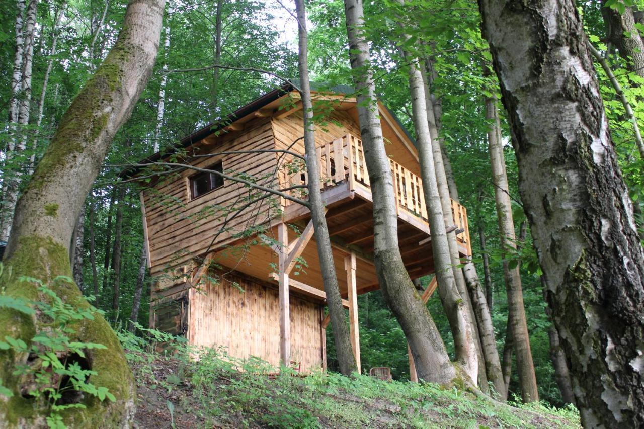 Treehouse Velké Losiny Exterior photo