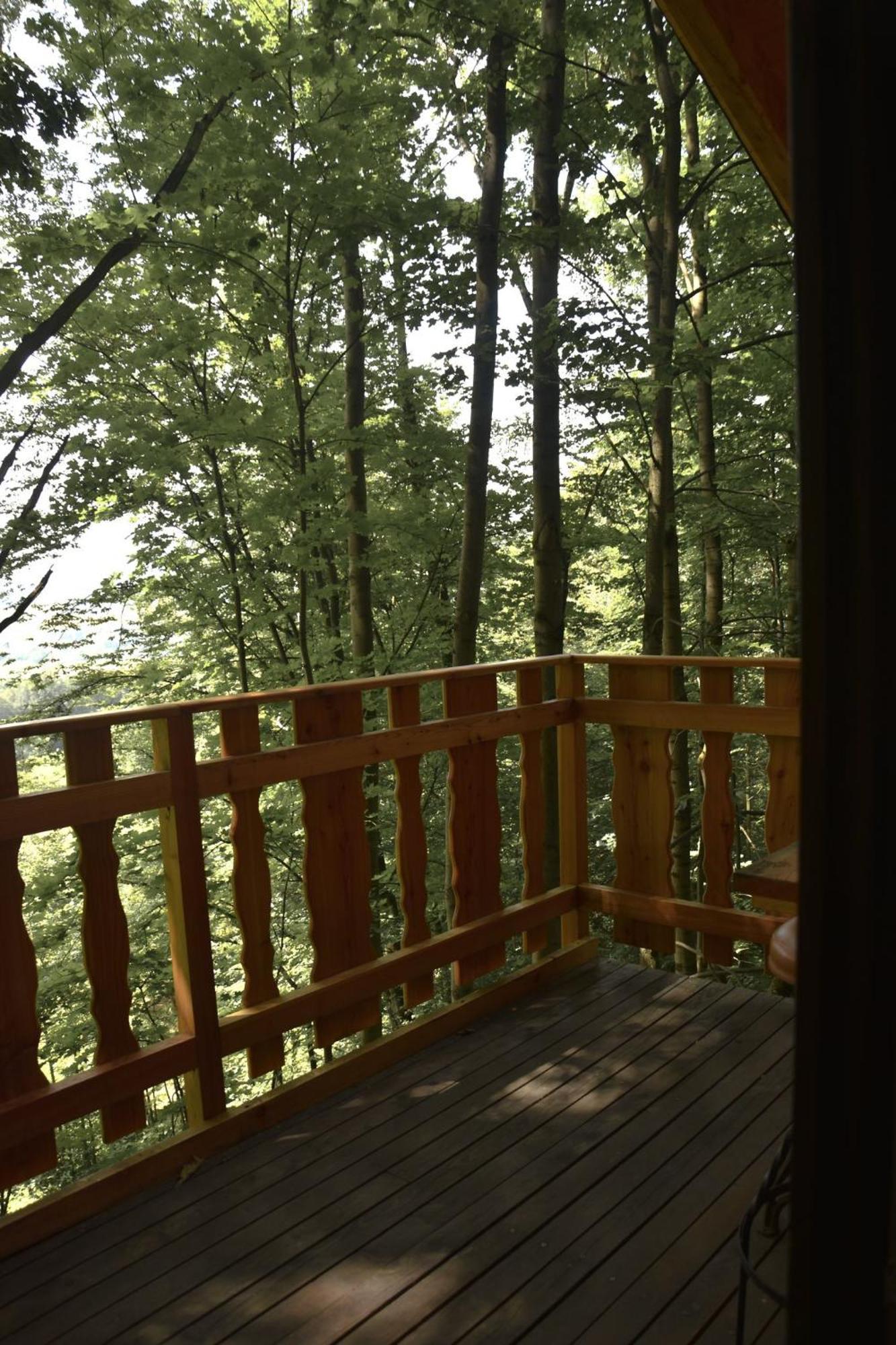 Treehouse Velké Losiny Exterior photo