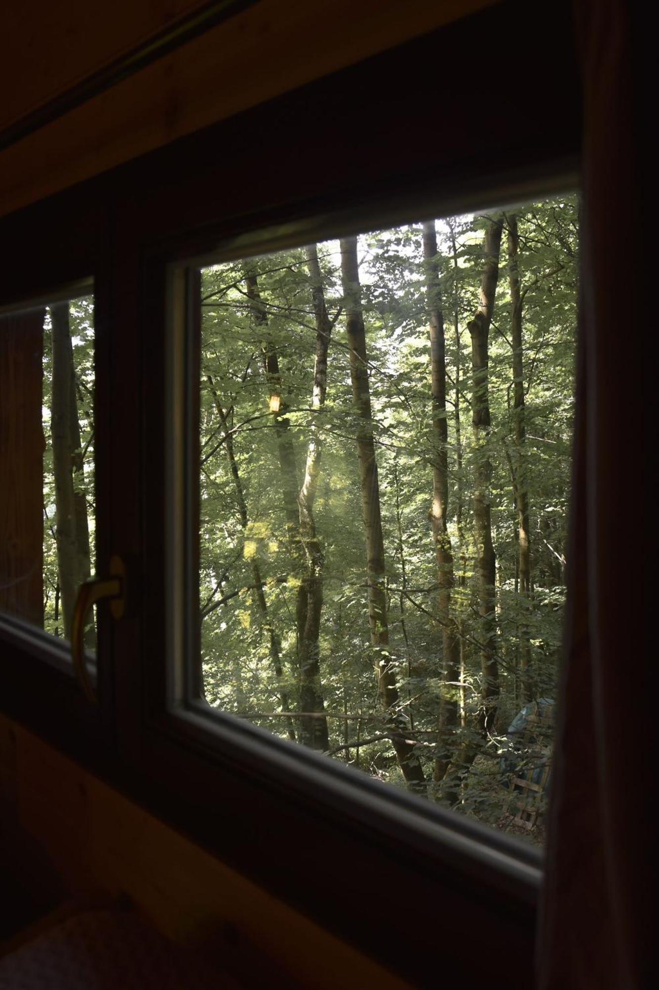 Treehouse Velké Losiny Exterior photo